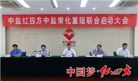 中鹽紅四方中鹽常化重組聯(lián)合啟動大會在中鹽常化舉行