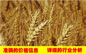 小麥價格行情