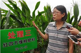 三大作物推進減肥增效行動，踐行化肥施用量零增長行動