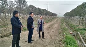 李守芳正在為大家介紹紅四方林木專用肥的施肥效果