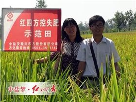 那一年，我們剛到紅四方復合肥銷售大家庭