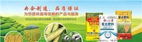 紅四方從1958年建廠就開始專注于肥料的生產、銷售，近60年的發展奮斗史，擁有“國內一流、國際先進”的化工生產基地，60年央企好品質是最有力的見證！