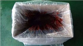 紅四方懸浮水溶肥