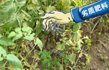 市場上劣質(zhì)肥料多