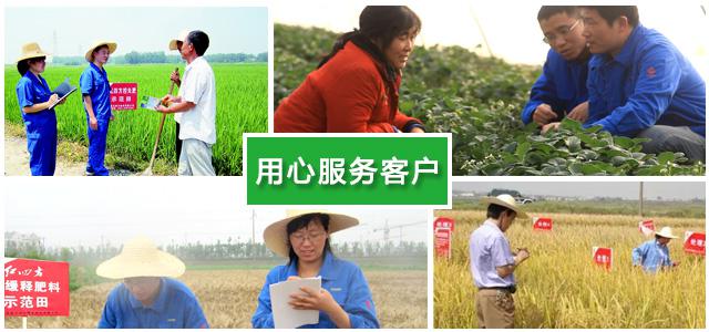 紅四方復(fù)合肥廠家農(nóng)化團隊用心服務(wù)每一位客戶
