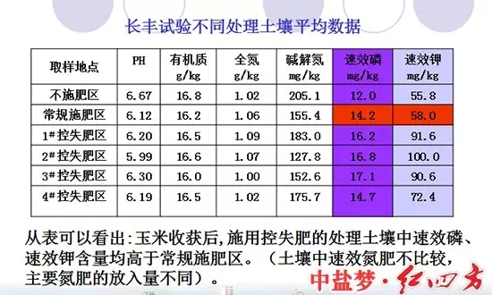 長豐實驗土壤處理對比圖，控失肥同樣取得好成績。