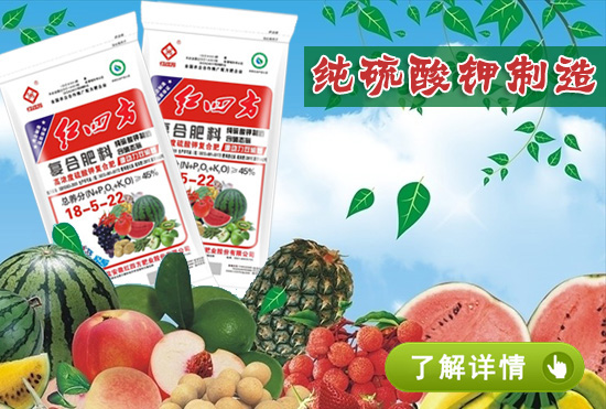 紅四方果蔬專用硫酸鉀復(fù)合肥1