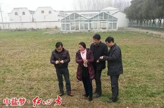 三變身份，不變初心的紅四方復(fù)合肥老業(yè)務(wù)員