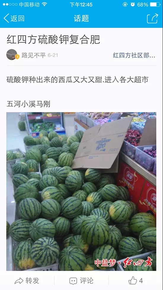 紅四方硫酸鉀復合肥，種出來的西瓜又大又甜，進入各大超市，熱銷到斷貨！