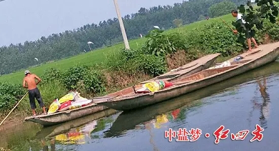 擺渡的人甩開膀子干活，將一袋袋紅四方蓮藕專用肥運往藕塘…….