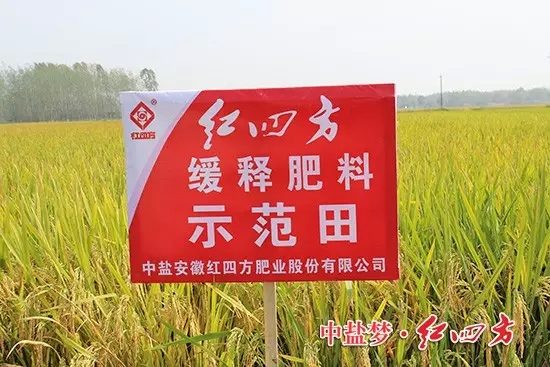 農業部全國農技推廣中心與紅四方聯手打造的示范試驗田便設置在此。
