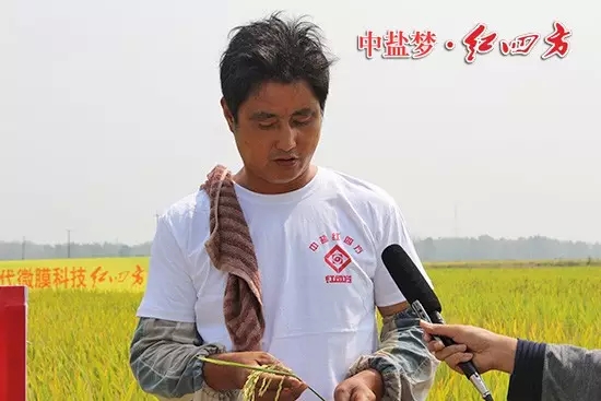 孟祥保告訴我們，3年前他開始大面積承包農田，在肥料的選擇上，他慎之又慎，通過考察最終鎖定了紅四方肥料