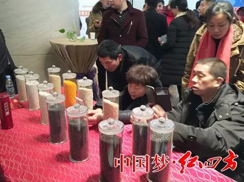 經(jīng)銷商拍攝各種復合肥產(chǎn)品實物圖