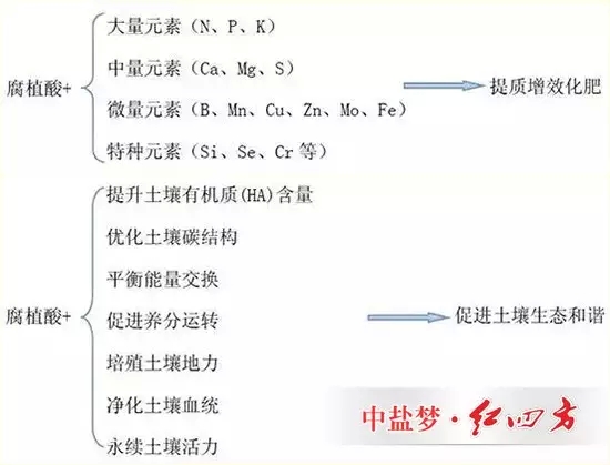 黑金含有的腐植酸能夠提質(zhì)增效化肥，能夠促進(jìn)土壤生態(tài)和諧
