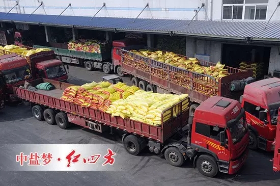 紅四方新區繁忙的發貨現場