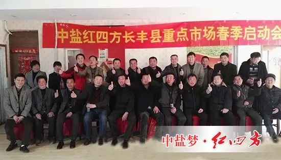 中鹽紅四方長豐縣重點市場春季復合肥銷售啟動會