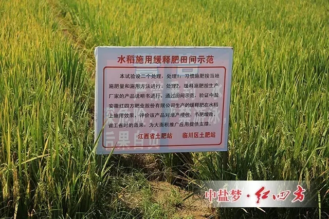 將水稻穗粒數(shù)、千粒重和分蘗數(shù)做對(duì)比