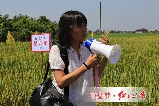 全國(guó)農(nóng)機(jī)推廣中心副處長(zhǎng)楊帆