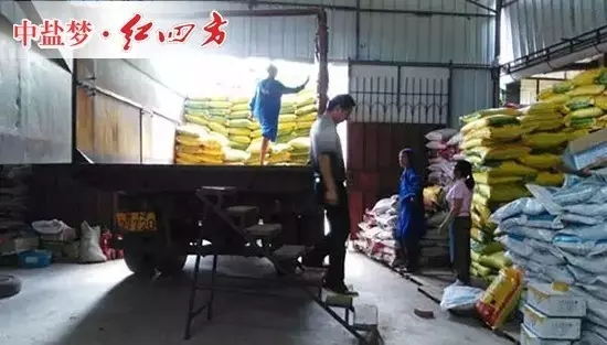 葉秀通的倉庫面積不是很大，但紅四方產品堆放的整整齊齊，不同的配方，不同的類別，一目了然。大伙兒正在忙著裝貨、送貨，裝卸工，庫管，發貨員，司機，忙碌有序，好不熱鬧。
