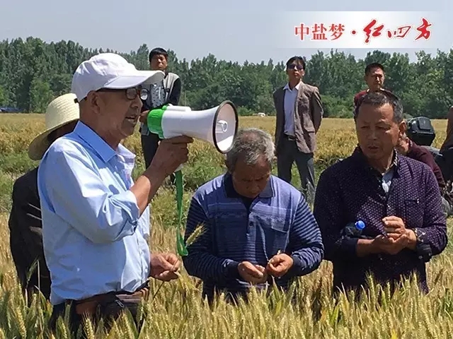 老專家講解農(nóng)技知識(shí)