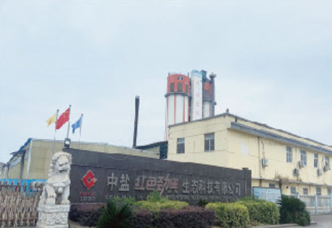 湖北隨州生產基地——中鹽紅色勁典生態科技有限公司